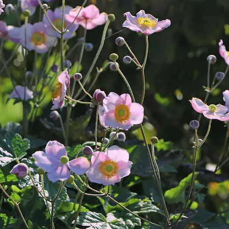 Gutshof Von Gemünden 3 Bernau bei Berlin