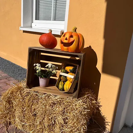 Gutshof Von Gemuenden 3 ベルナウ・バイ・ベルリン