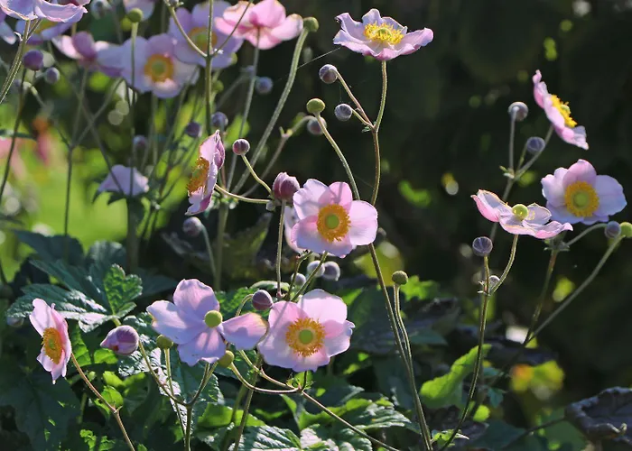 Gutshof Von Gemuenden 3 Bernau bei Berlin
